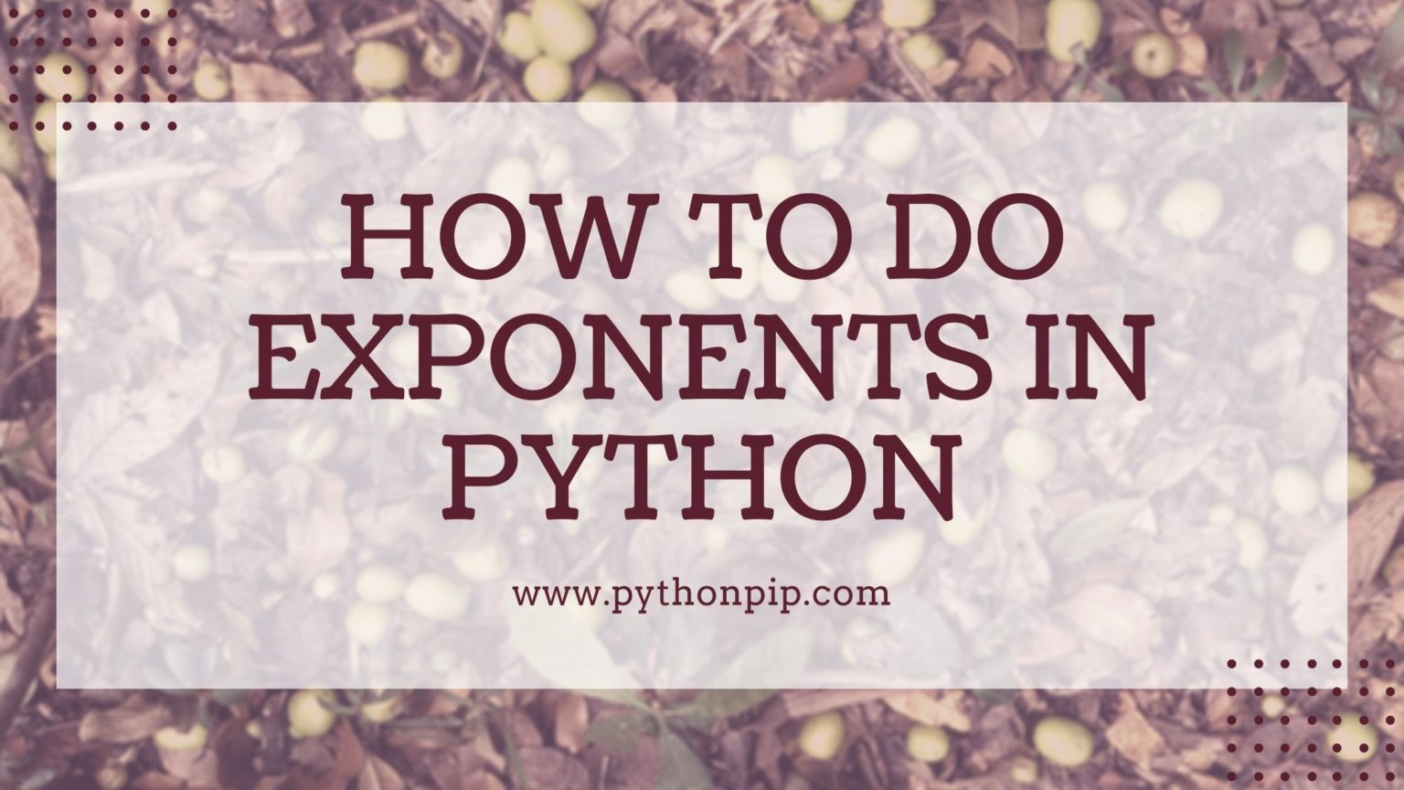 how-to-do-exponents-in-python-pythonpip