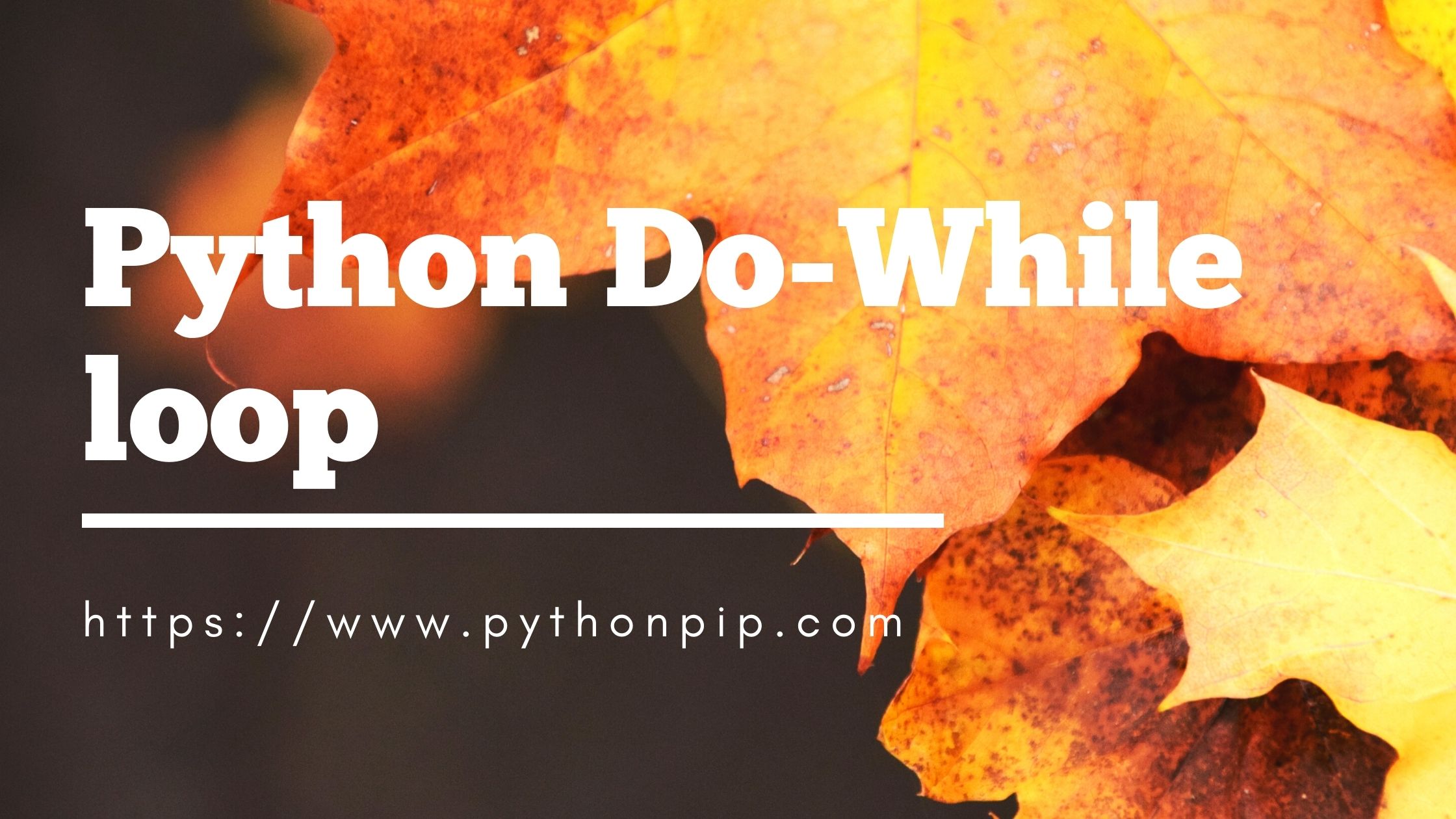 Does Python Have Do While Loop